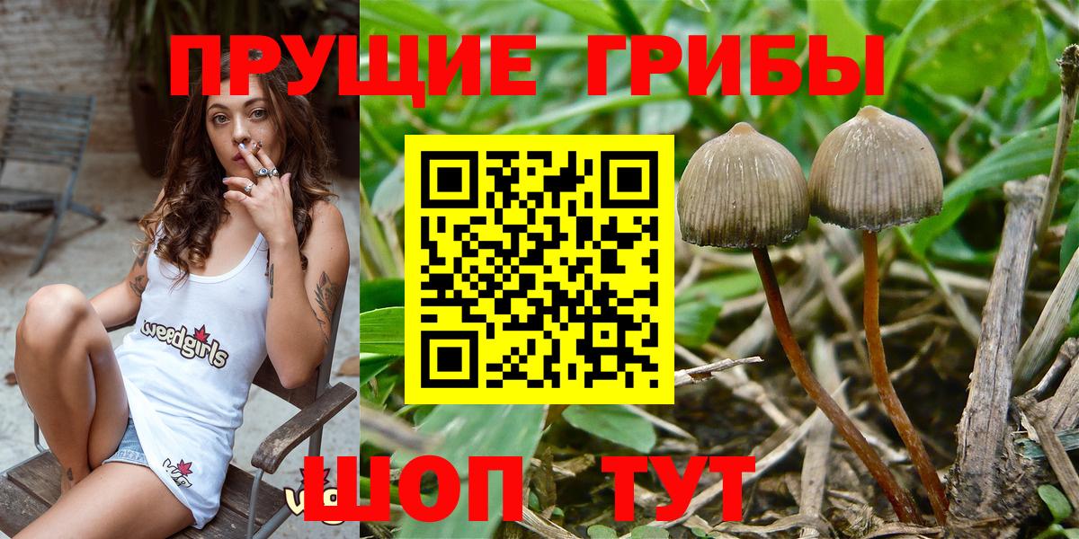 Псилоцибиновые грибы мицелий  Галлюциногенные грибы Magic Shrooms  Вход с VPN  Клинцы 